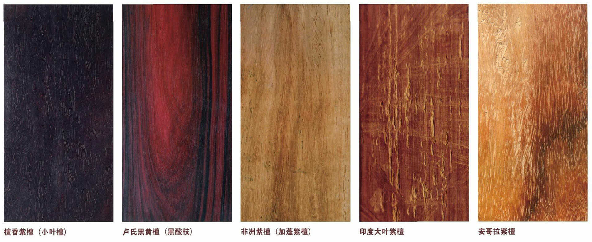 紫檀木-探索实木红木家居的魅力:常用名贵木材种类介绍- 家具知识- NKFURN
